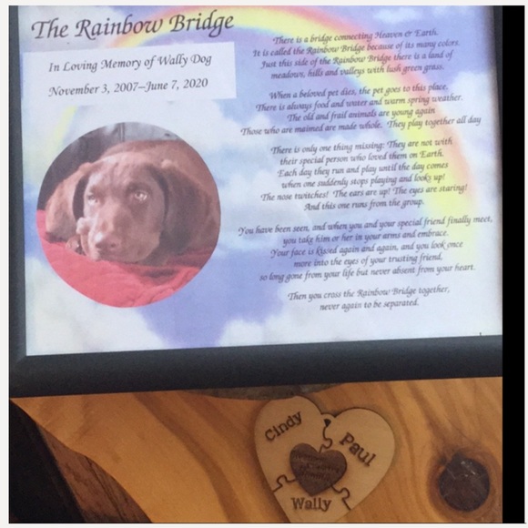 Moto Jacket BLACK LEATHER UNISEX - Picture 14 of 15